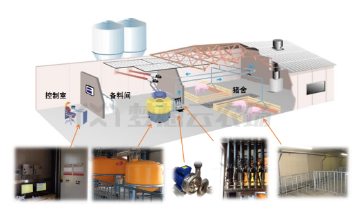 猪场液态喂料设备介绍